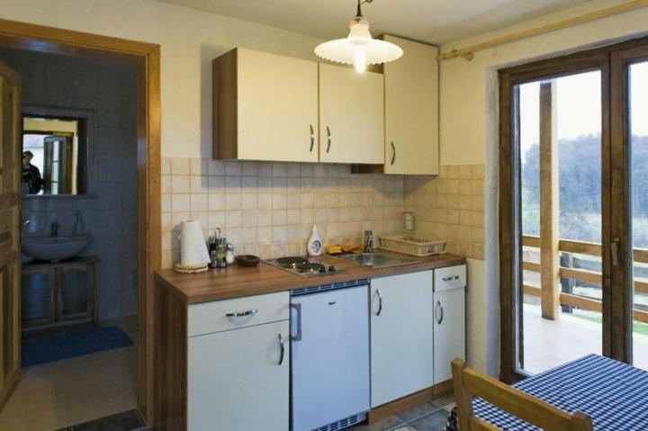 Apartments Mali Raj Dolenci 外观 照片